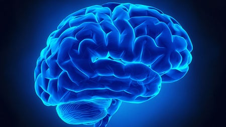 graphicbrain.jpg