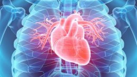 heart-feat-260x170.jpeg