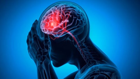stockbrain169.jpg