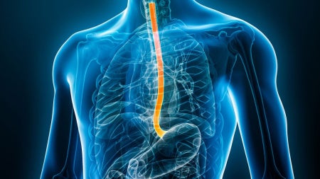 esophagus-feat