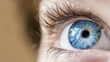 eye1
