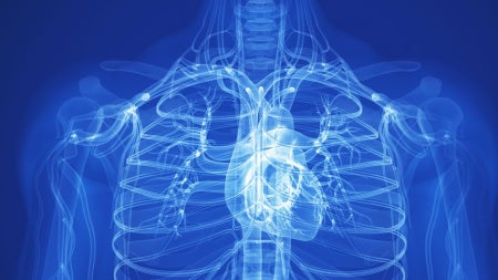 heart-rendering-feat