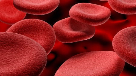 red-blood-cells-feat