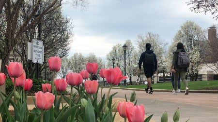 spring-campus-flowers-feat