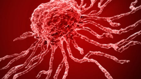 stem-cell-feature