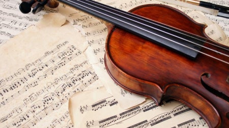 violin