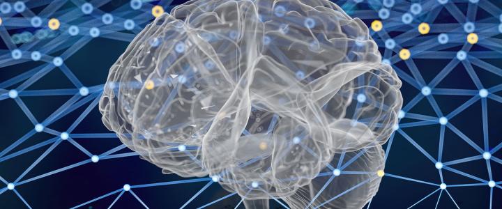 Photo illustration of a brain model