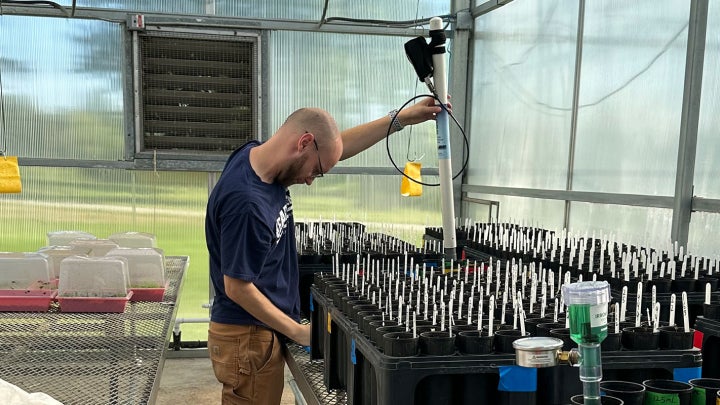 Photo of Sam Harbol working with equipment in a greenhouse lab
