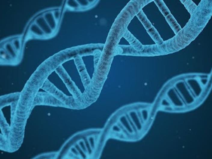 Graphic of genes