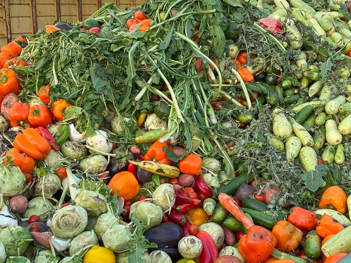 Photo of spoiled produce filling a dumpster