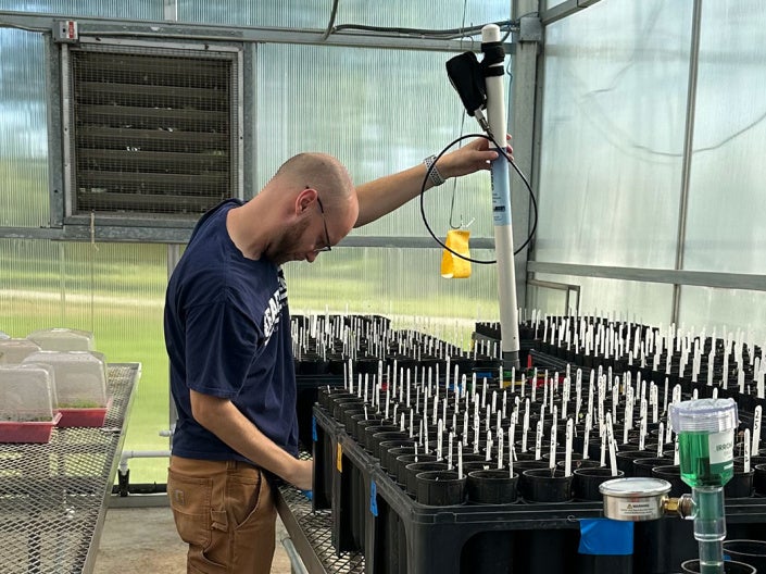 Photo of Sam Harbol working with equipment in a greenhouse lab
