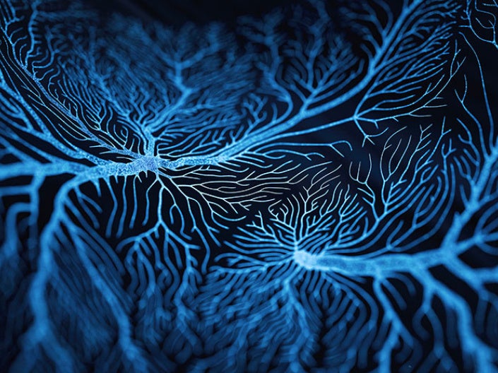 Photo illustration of blue-colored neural pathways