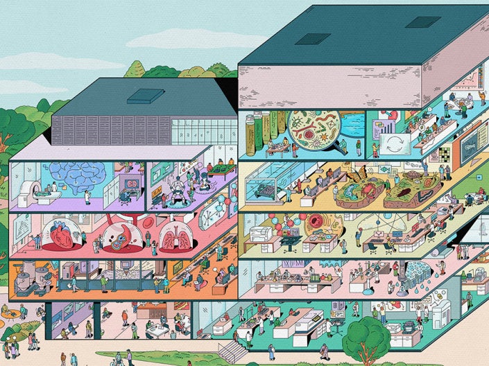 Illustration depicting a cross-section view of the five-story Interdisciplinary Science and Engineering Building, with illustrated people working in various colorful, science-themed rooms, including laboratories, offices, and gathering areas, surrounded by trees on a campus setting.