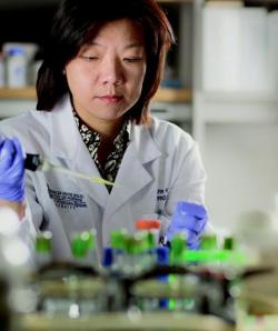 Photo of Chao-Pin Hsiao conducting research work in a lab.
