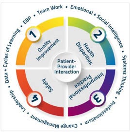 Wheel graph depicting qualities that lead to positive patient provider interaction.