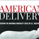 American Delivery Banner 2024