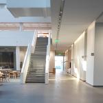 The atrium and stairs of the HEC, tree on the left with sun coming in from above