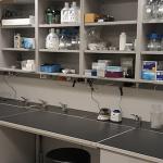 NRB Lab 4