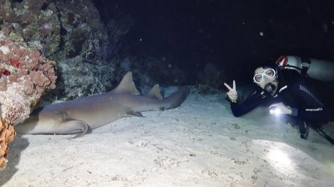 A diver at right gives a peace sign underwater as a shark, at left, passes by the camera