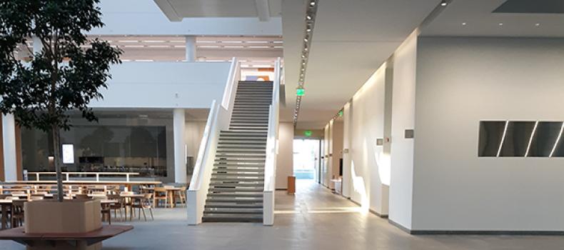 The atrium and stairs of the HEC, tree on the left with sun coming in from above