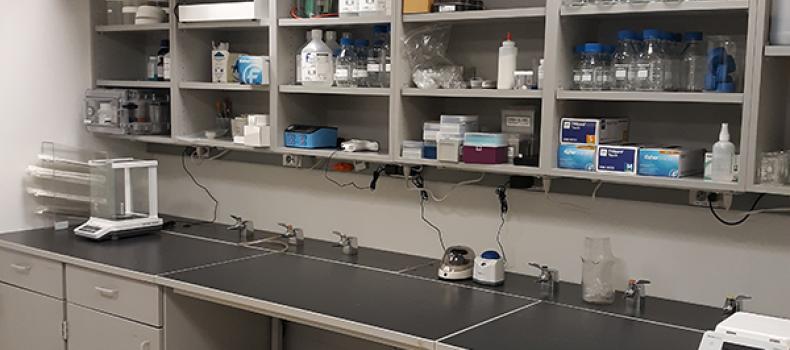 NRB Lab 4