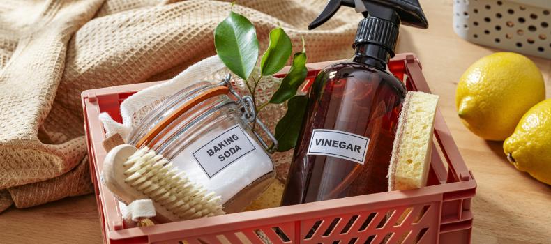 Cleaning with Vinegar