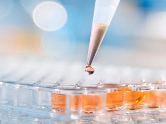 A close-up view of a clear pipette dispensing an orange liquid into a multi-well plate.