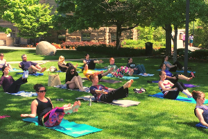people on grass doing yoga