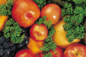 Close up of various vegetables