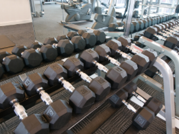 Dumbbells lined up in a rack in a gym