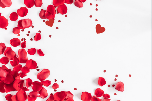 Flower petals and hearts scattered on white background