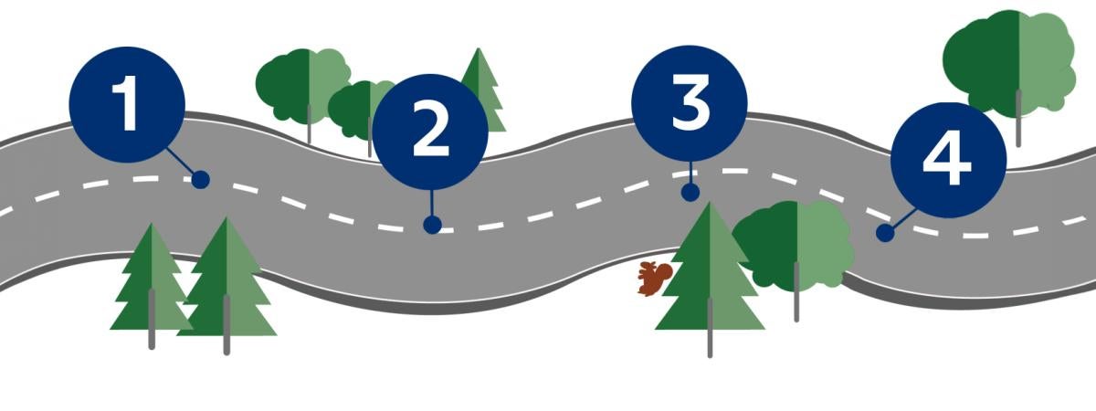 a graphic showing a road with numbers along the way visually showing the roadmap