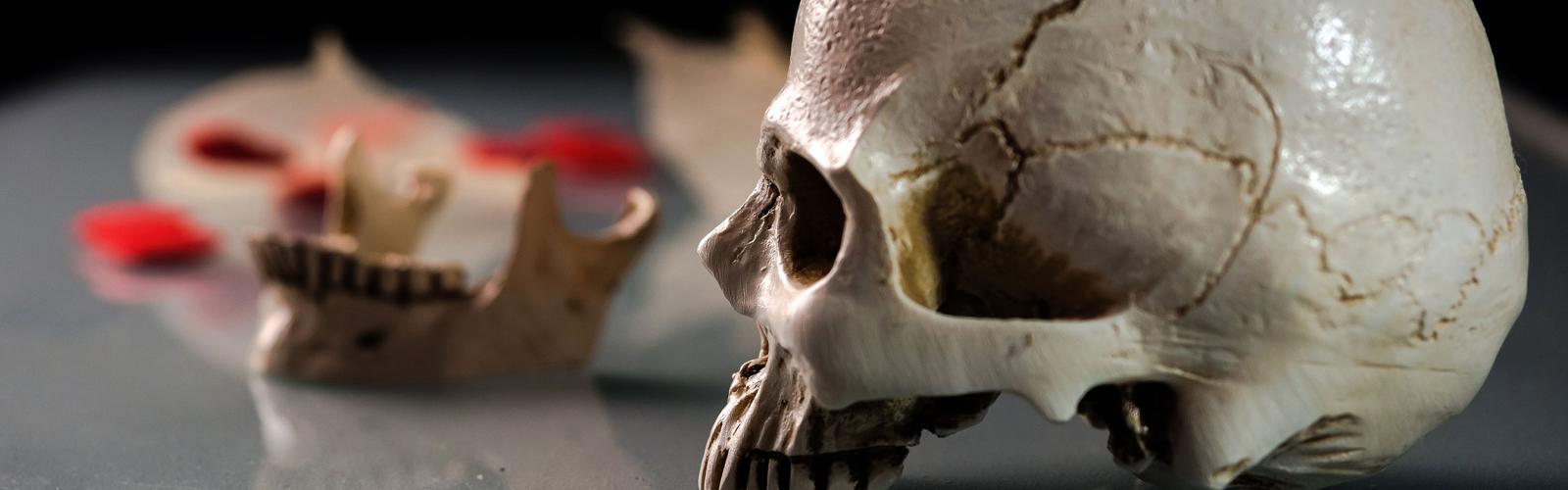 A human skull and bones sitting on a desk