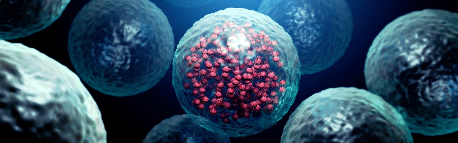 An infected cell by a virus