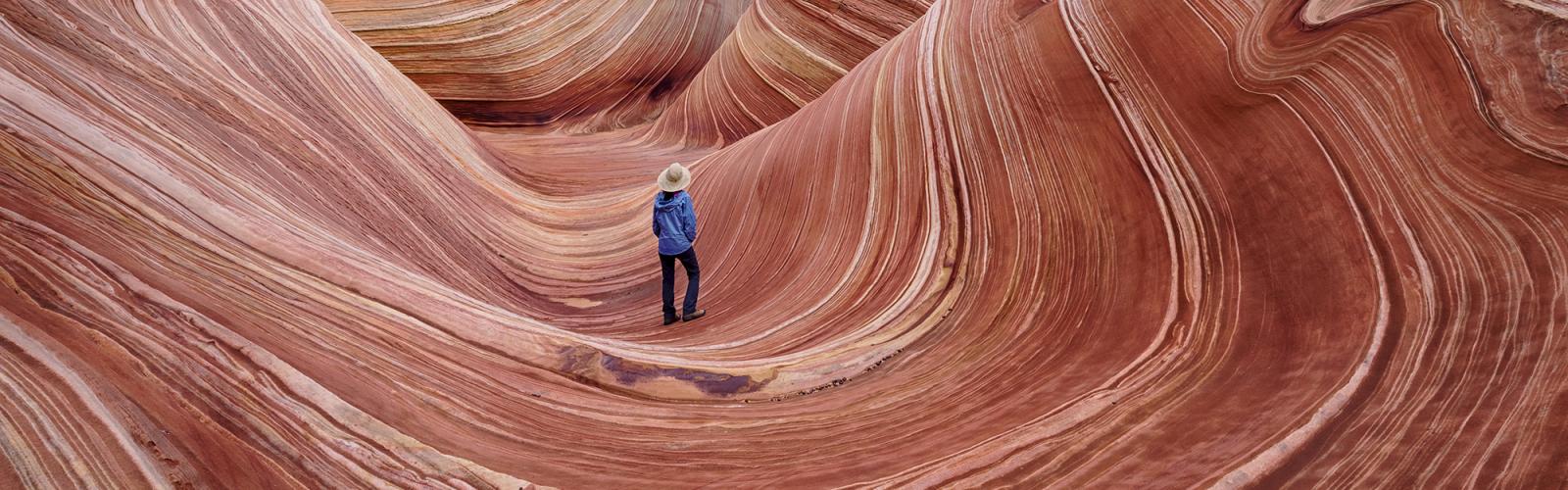 The Wave, rock formation in Coyote Buttes North Arizona USA
