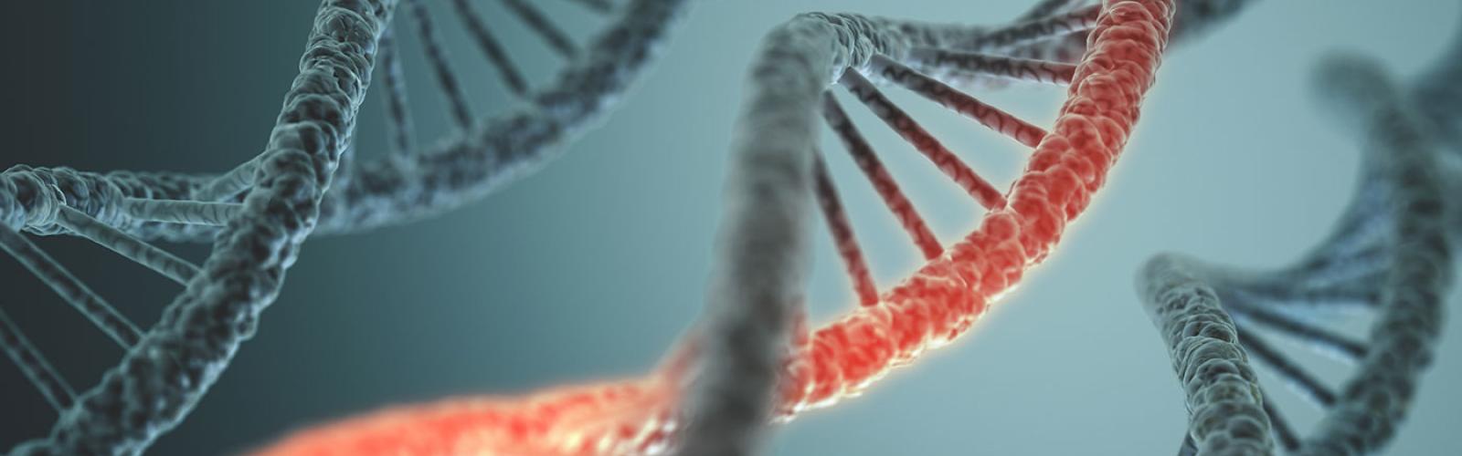 Three spirals of DNA on a blue background