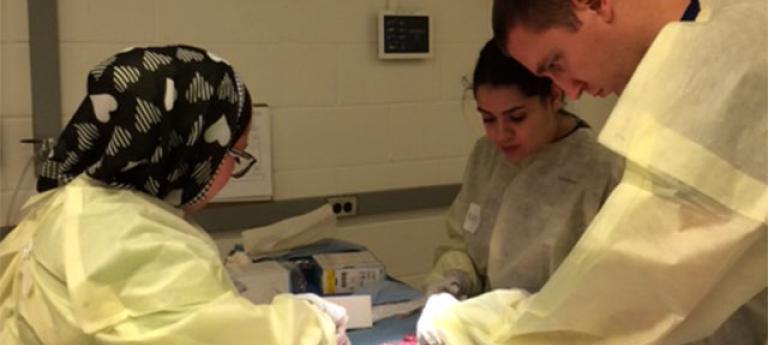 Physician Assistant Studies performing a procedure during clinical studies