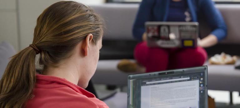 Student looking at a website on a laptop computer