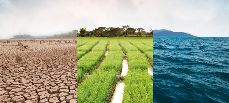 Various ecosystems pictured