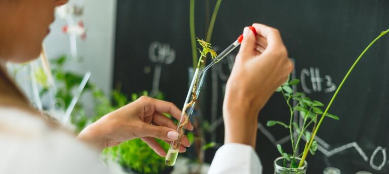 Biologist working in laboratory with plants