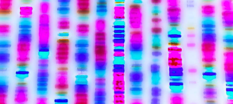 An image of DNA sequencing