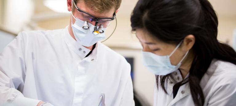 Two dental students working together