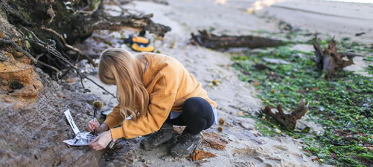 A Case Western Reserve University student looks at items on a beach