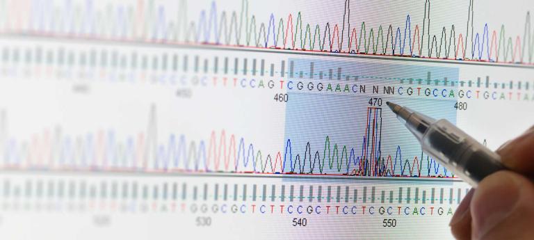 Pencil and fingers on data set