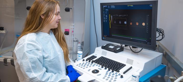 A biomedical engineering student working at a computer