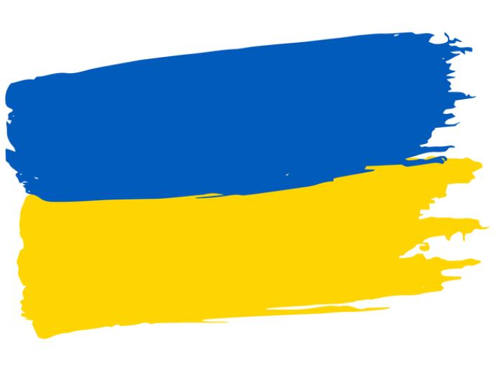 Ukraine Flag