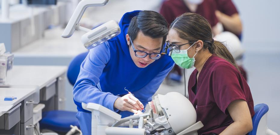 Students using dental instruments on fake teeth and head.