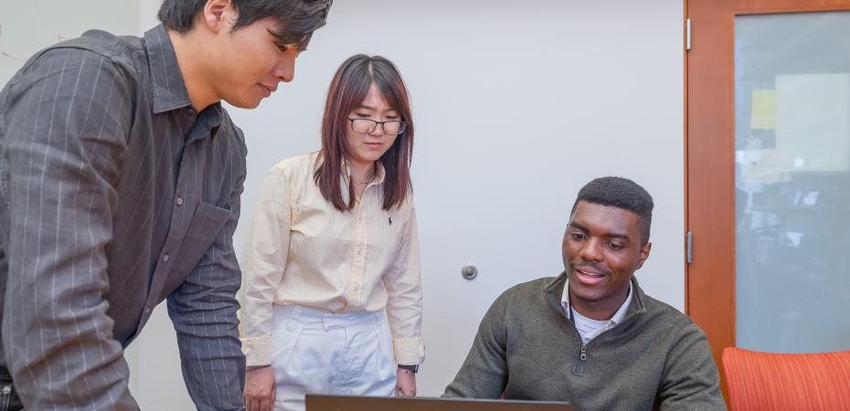 A groups of people collaborating.