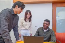 A groups of people collaborating.