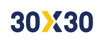 30x30 Logo